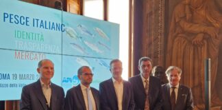 Acquacoltura e pesca, più trasparenza e informazione per valorizzare Made in Italy