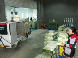 Cina, crescita costante per il settore postale nei primi due mesi dell’anno