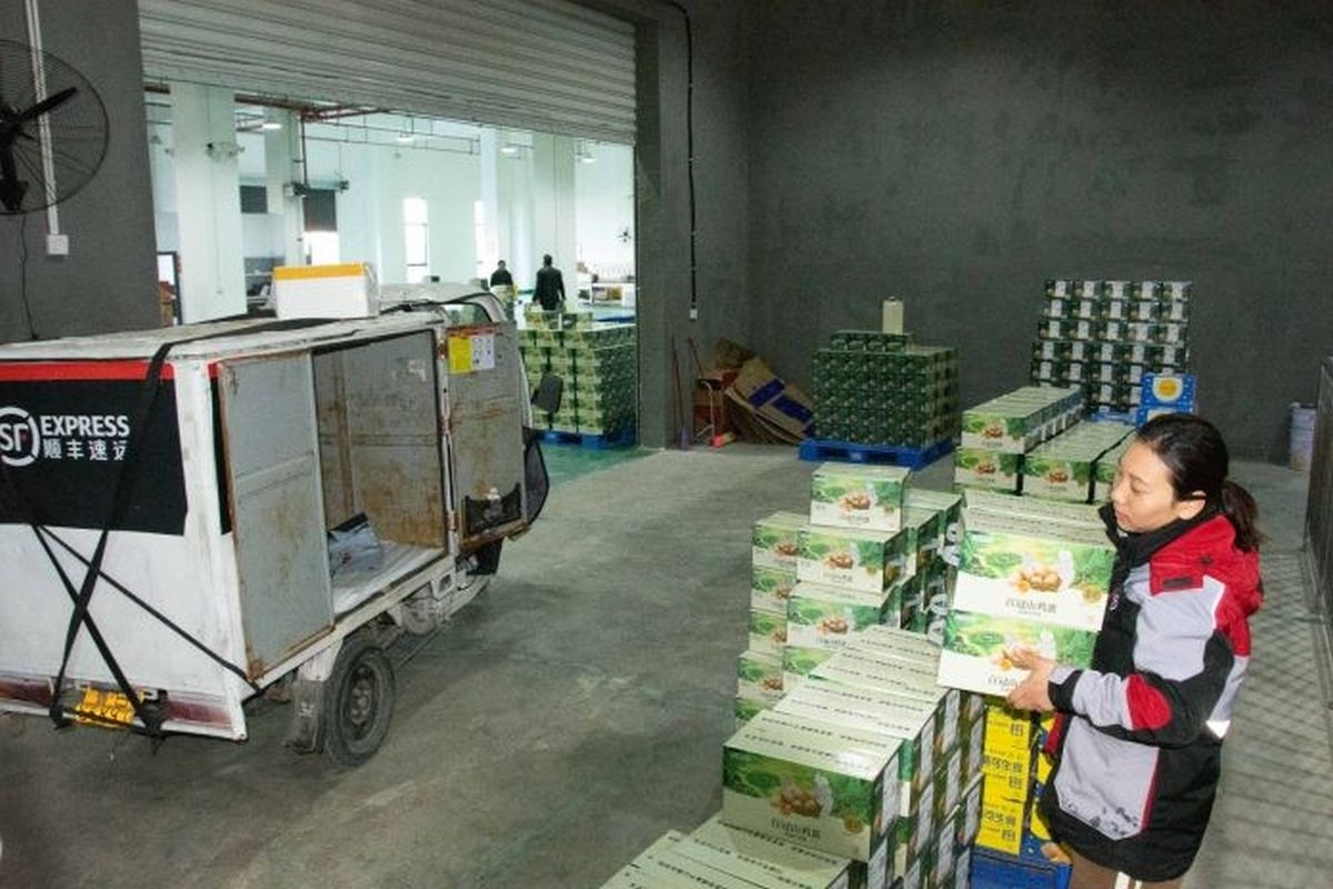 geronimo it claudio-cecchetto-lancia-un-sondaggio-per-il-sindaco-della-perla-verde-A28956 010