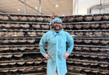 Dolci pasquali, a Tomarchio la certificazione Lfree