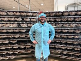 Dolci pasquali, a Tomarchio la certificazione Lfree