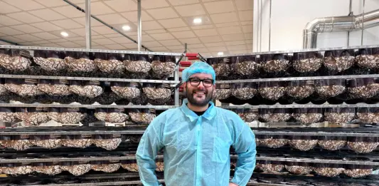 Dolci pasquali, a Tomarchio la certificazione Lfree