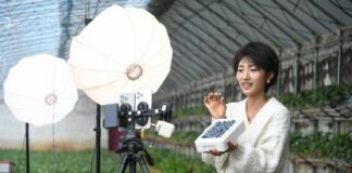 Cina, e-commerce in crescita nei primi due mesi dell’anno