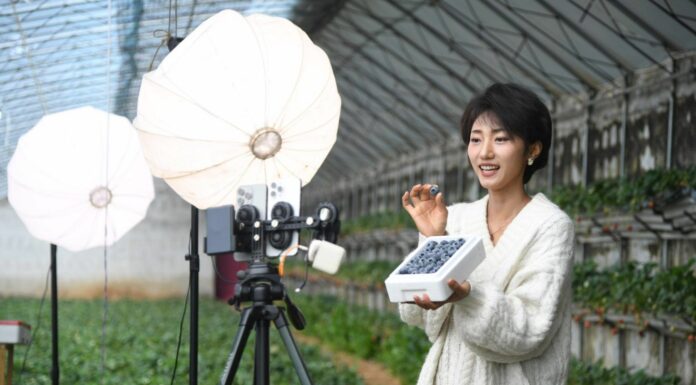 Cina, e-commerce in crescita nei primi due mesi dell’anno