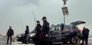 Maxi operazione contro illegalità e degrado a Ostia, 17 arresti e 42 denunce