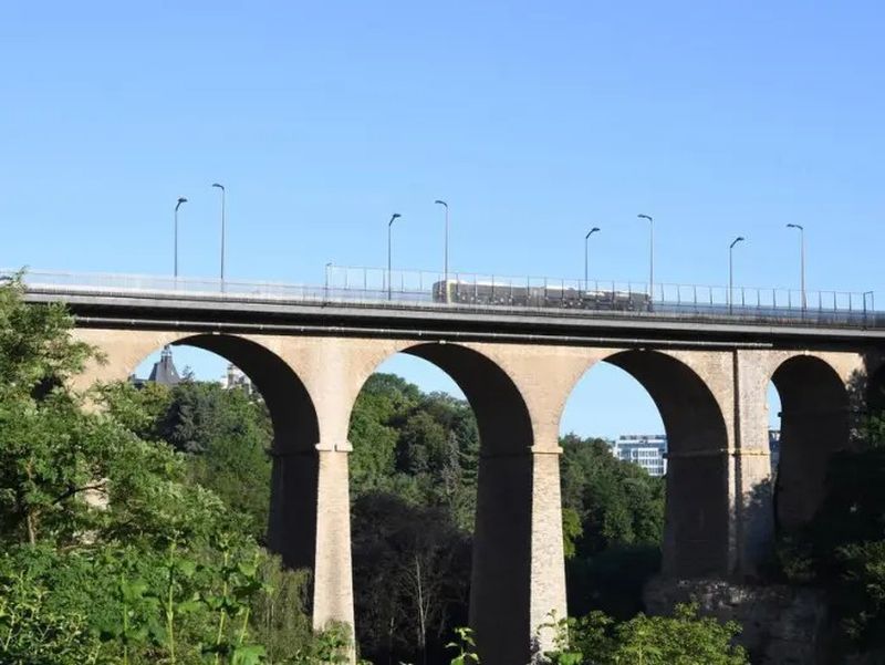 geronimo it elio-pari-intervista-aaron-raschi-A29790 009