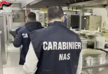 Controlli dei Nas nelle mense ospedaliere, irregolarità in 4 casi su 10
