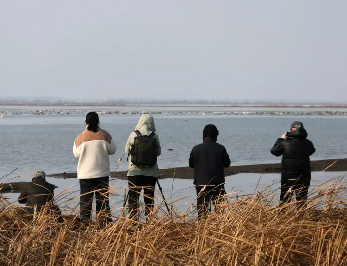 218f3053-178c-4433-9d92-049bff604802