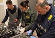 Traffico internazionale di droga, all’aeroporto di Malpensa arrestata passeggera con 17 kg di marijuana