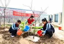 Cina: il 12 marzo ricorre Giornata nazionale di piantumazione degli alberi (2)