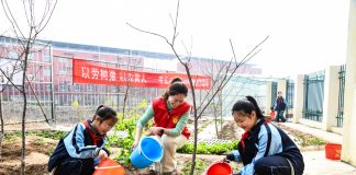 Cina: il 12 marzo ricorre Giornata nazionale di piantumazione degli alberi (2)