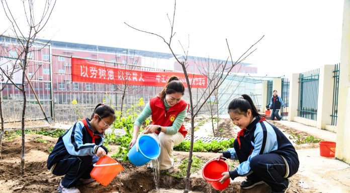 Cina: il 12 marzo ricorre Giornata nazionale di piantumazione degli alberi (2)