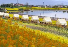 Cina: ad Hanzhong 15 itinerari turistici a tema floreale tra gastronomia e cultura (3)