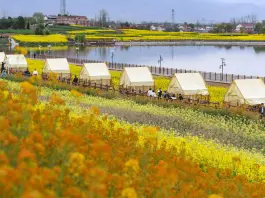 Cina: ad Hanzhong 15 itinerari turistici a tema floreale tra gastronomia e cultura (3)