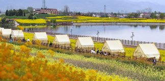 Cina: ad Hanzhong 15 itinerari turistici a tema floreale tra gastronomia e cultura (3)