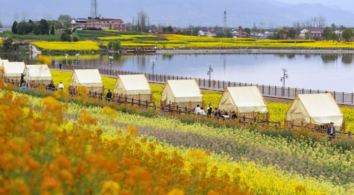 Cina: ad Hanzhong 15 itinerari turistici a tema floreale tra gastronomia e cultura (3)