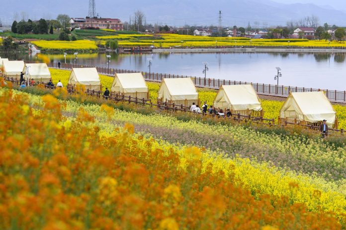 495eace5-4c06-4f18-8e5b-cb5b8f2ea053