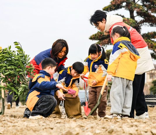 Cina: il 12 marzo ricorre Giornata nazionale di piantumazione degli alberi (3)