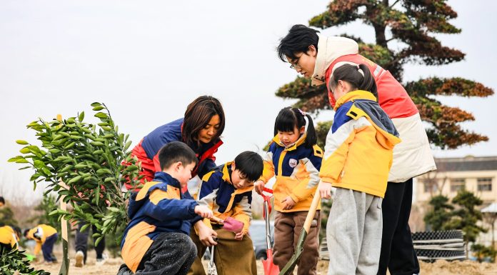 Cina: il 12 marzo ricorre Giornata nazionale di piantumazione degli alberi (3)