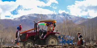 Cina: Xizang, Gaiba celebra inizio di lavori agricoli primaverili (2)