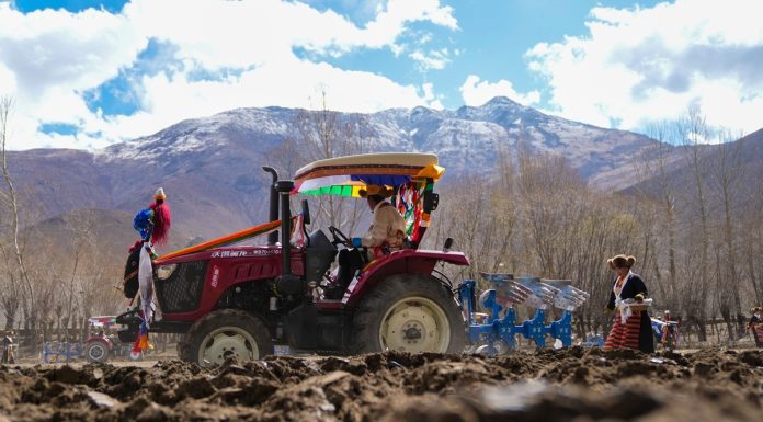 Cina: Xizang, Gaiba celebra inizio di lavori agricoli primaverili (2)