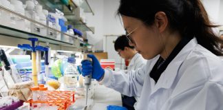 Cina: scienziati identificano geni per crescita perenne del riso selvatico (2)