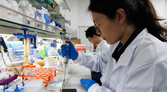 Cina: scienziati identificano geni per crescita perenne del riso selvatico (2)