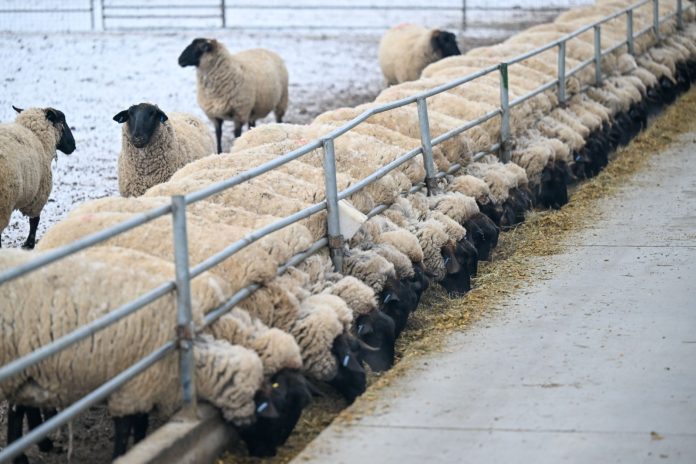 9658bbe2-d125-437c-95de-9424a70dce09