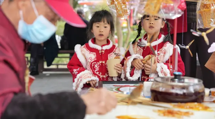 Cina: a Chengdu in corso la fiera presso il Tempio di Wuhou (2)