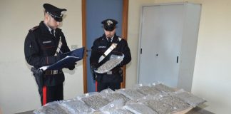Trovato in possesso di 7,3 kg di marijuana, 25enne arrestato ad Arezzo