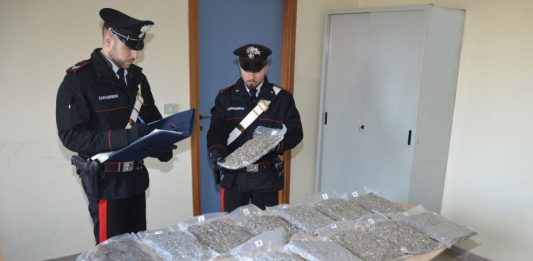 Trovato in possesso di 7,3 kg di marijuana, 25enne arrestato ad Arezzo