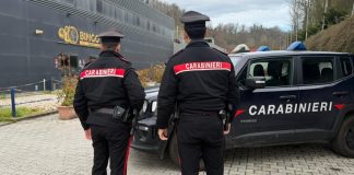 Lascia il cane chiuso in auto per andare in sala giochi, 46enne denunciato in provincia di Roma