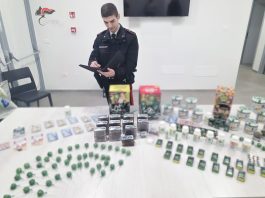 Blitz dei Carabinieri al Pilastro a Bologna, sequestrati diversi kg di hashish