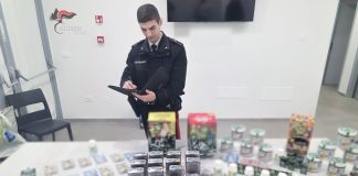 Blitz dei Carabinieri al Pilastro a Bologna, sequestrati diversi kg di hashish