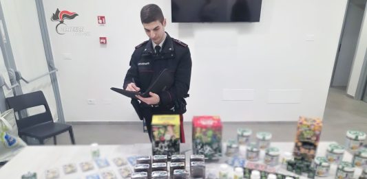 Blitz dei Carabinieri al Pilastro a Bologna, sequestrati diversi kg di hashish