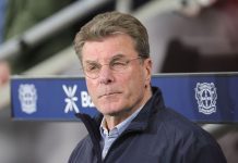 Wolfsburg appoint Dieter Hecking new head coach