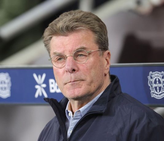 Wolfsburg appoint Dieter Hecking new head coach