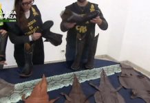 Stroncato all’aeroporto di Fiumicino un traffico illegale di pelli di rettile