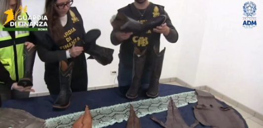 Stroncato all’aeroporto di Fiumicino un traffico illegale di pelli di rettile