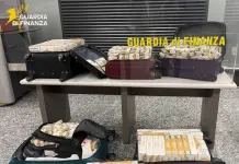Sequestrati oltre 1.000 kg di sigarette e melassa di contrabbando all’aeroporto di Malpensa