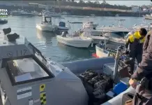 Sequestrati al porto di Gioia Tauro 400 kg di cocaina in tre operazioni della Guardia di Finanza