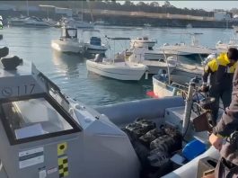 Sequestrati al porto di Gioia Tauro 400 kg di cocaina in tre operazioni della Guardia di Finanza