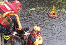 Gatto intrappolato a rischio annegamento salvato dai Vigili del Fuoco a Oristano