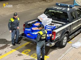 Puglia, sequestrati 115 kg di pescato privo di tracciabilità: accertata l’idoneità al consumo, è stato donato in beneficenza / Video