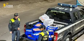 Puglia, sequestrati 115 kg di pescato privo di tracciabilità: accertata l’idoneità al consumo, è stato donato in beneficenza / Video