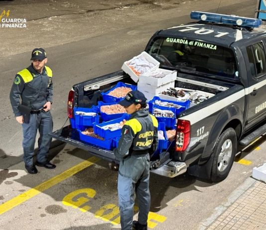 Puglia, sequestrati 115 kg di pescato privo di tracciabilità: accertata l’idoneità al consumo, è stato donato in beneficenza / Video