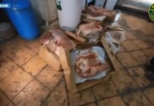 Controlli a tappeto sulla filiera alimentare a Catania, maxi multe e sequestri