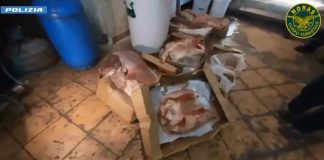 Controlli a tappeto sulla filiera alimentare a Catania, maxi multe e sequestri / Video