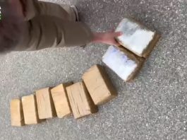 Traffico di droga legato alla ‘Ndrangheta, 15 misure cautelari in tutta Italia / Video