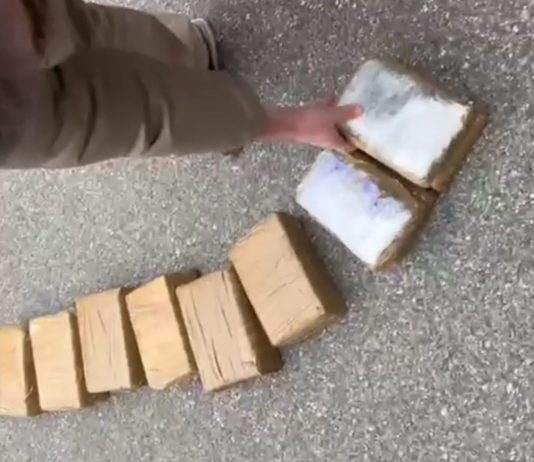 Traffico di droga legato alla ‘Ndrangheta, 15 misure cautelari in tutta Italia / Video